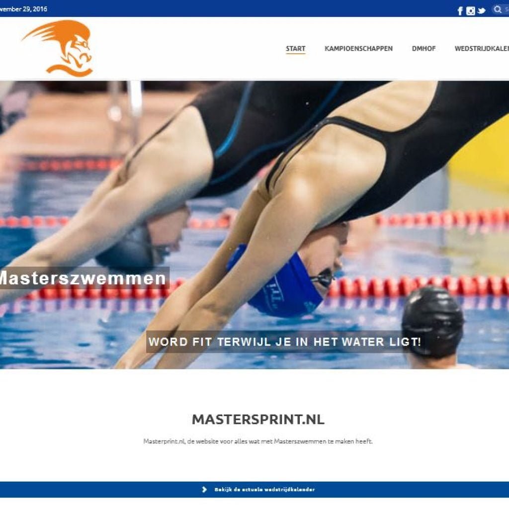 MasterSprint website